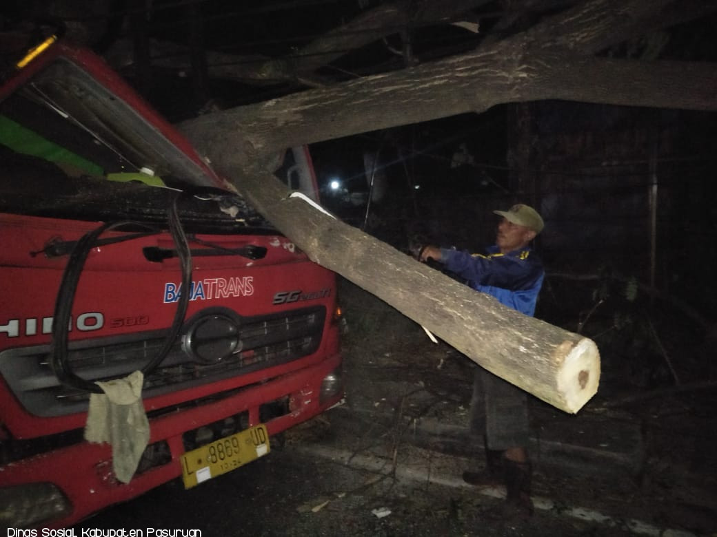 POHON TUMBANG TIMPA MOBIL COUNTENER